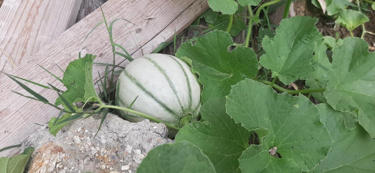 B&B L' Antica Macina Quiliano Luaran gambar