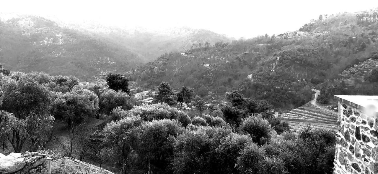 B&B L' Antica Macina Quiliano Luaran gambar