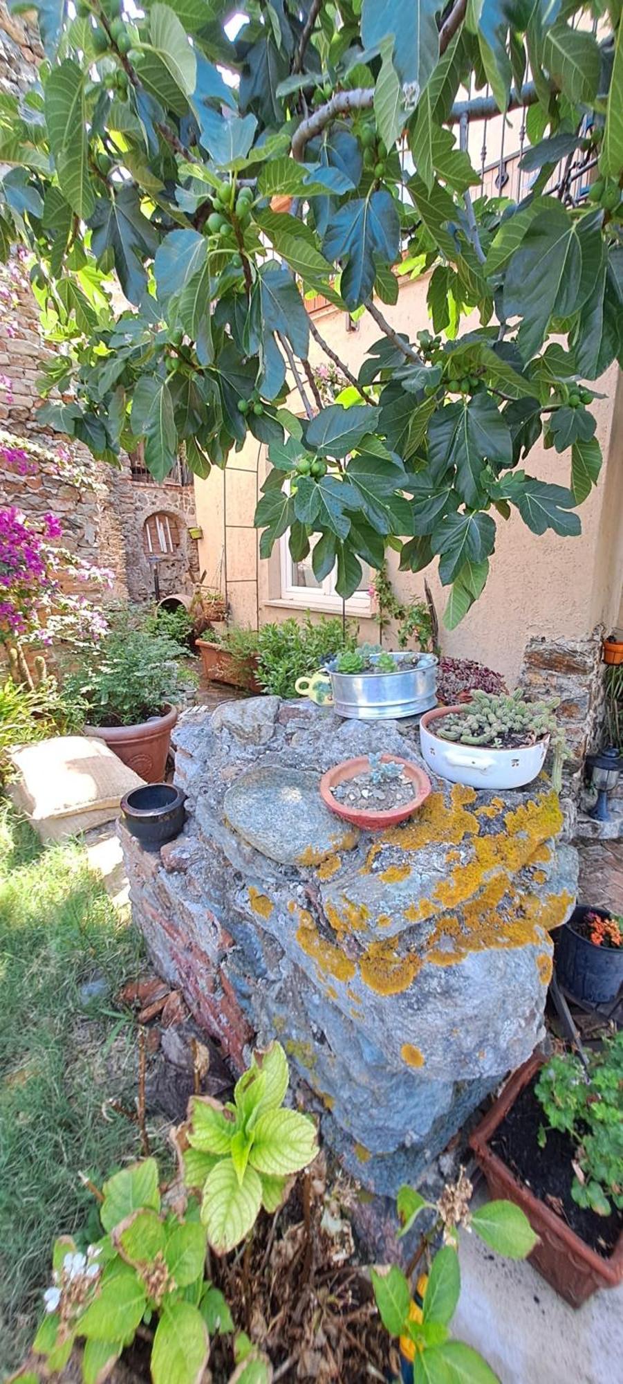 B&B L' Antica Macina Quiliano Luaran gambar