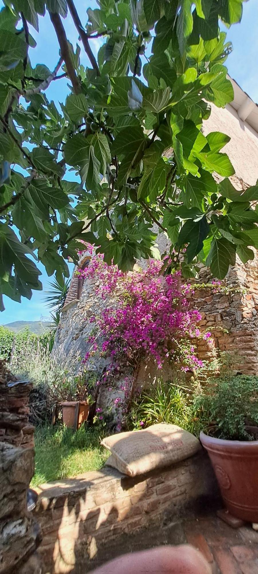 B&B L' Antica Macina Quiliano Luaran gambar